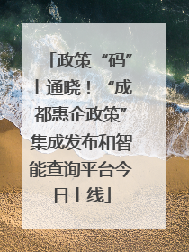 政策“码”上通晓！“成都惠企政策”集成发布和智能查询平台今日上线