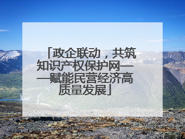 政企联动，共筑知识产权保护网——赋能民营经济高质量发展