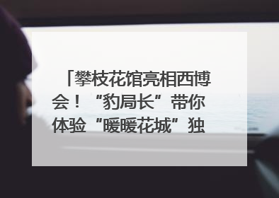 攀枝花馆亮相西博会！“豹局长”带你体验“暖暖花城”独特魅力｜西博视界