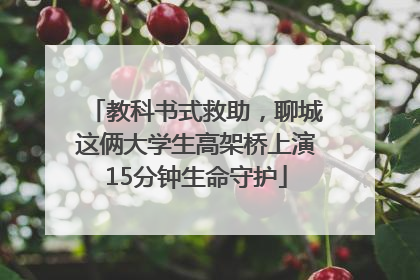 教科书式救助,聊城这俩大学生高架桥上演15分钟生命守护