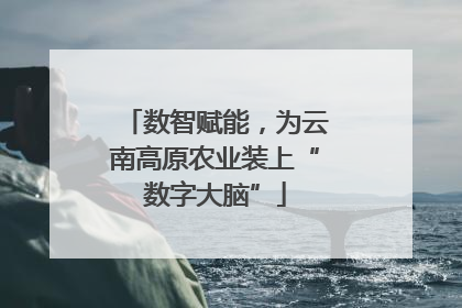 数智赋能，为云南高原农业装上“数字大脑”