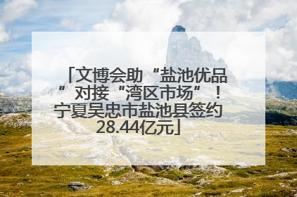 文博会助“盐池优品”对接“湾区市场”！宁夏吴忠市盐池县签约28.44亿元