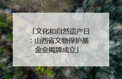 文化和自然遗产日：山西省文物保护基金会揭牌成立