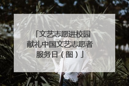 文艺志愿进校园 献礼中国文艺志愿者服务日（图）