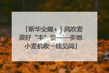 新华全媒+｜风吹麦浪好“丰”景——多地小麦机收一线见闻