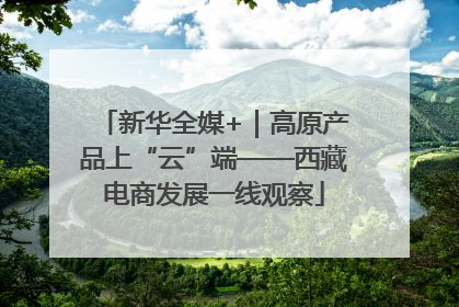 新华全媒+｜高原产品上“云”端——西藏电商发展一线观察
