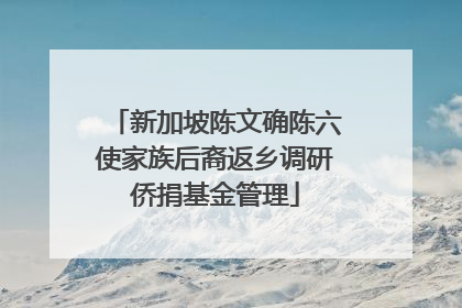 新加坡陈文确陈六使家族后裔返乡调研侨捐基金管理