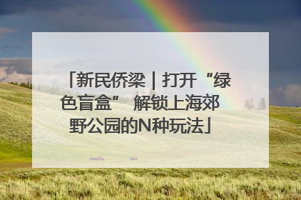 新民侨梁｜打开“绿色盲盒” 解锁上海郊野公园的N种玩法