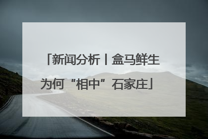 新闻分析丨盒马鲜生为何“相中”石家庄