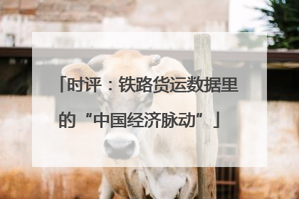 时评：铁路货运数据里的“中国经济脉动”