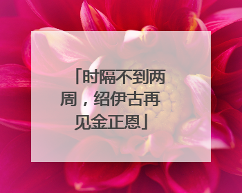 时隔不到两周，绍伊古再见金正恩