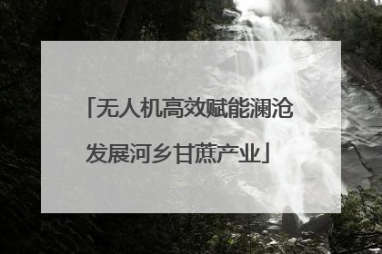 无人机高效赋能澜沧发展河乡甘蔗产业
