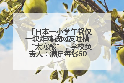 日本一小学午餐仅一块炸鸡被网友吐槽“太寒酸”，学校负责人：满足每餐600千卡的标准