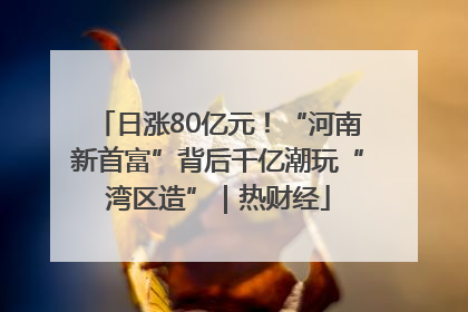 日涨80亿元！“河南新首富”背后千亿潮玩“湾区造”｜热财经