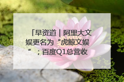 早资道｜阿里大文娱更名为“虎鲸文娱”；百度Q1总营收325亿元超预期