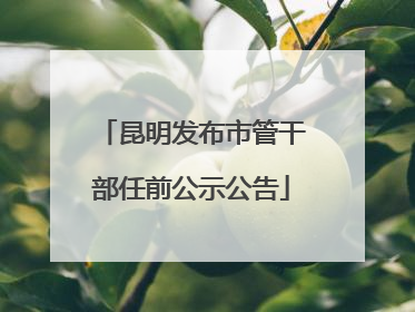 昆明发布市管干部任前公示公告