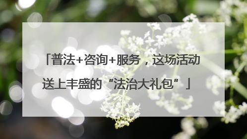 普法+咨询+服务，这场活动送上丰盛的“法治大礼包”
