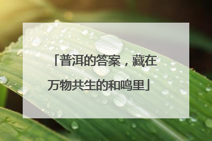 普洱的答案，藏在万物共生的和鸣里