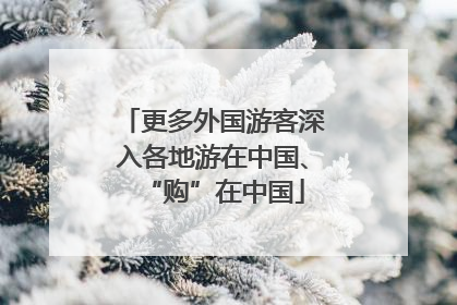 更多外国游客深入各地游在中国、“购”在中国