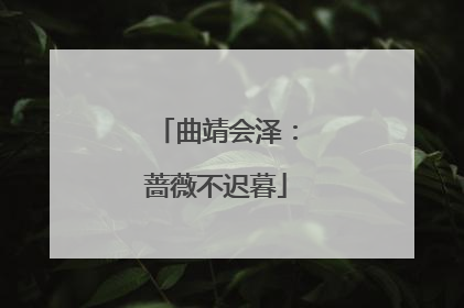 曲靖会泽：蔷薇不迟暮