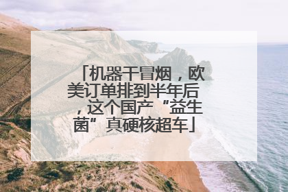 机器干冒烟，欧美订单排到半年后，这个国产“益生菌”真硬核超车