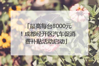 最高每台8000元！成都经开区汽车促消费补贴活动启动