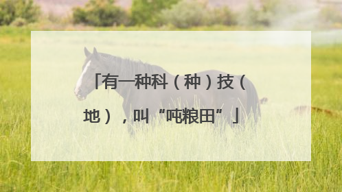 有一种科（种）技（地），叫“吨粮田”