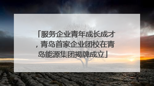 服务企业青年成长成才，青岛首家企业团校在青岛能源集团揭牌成立