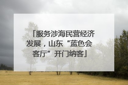 服务涉海民营经济发展，山东“蓝色会客厅”开门纳客
