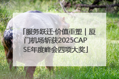 服务跃迁·价值重塑｜厦门机场斩获2025CAPSE年度峰会四项大奖