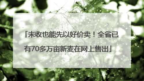 未收也能先以好价卖！全省已有70多万亩新麦在网上售出