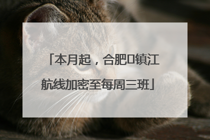 本月起，合肥⇋镇江航线加密至每周三班