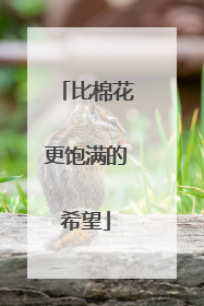 比棉花更饱满的希望