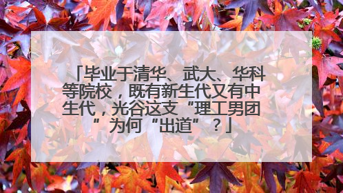 毕业于清华、武大、华科等院校，既有新生代又有中生代，光谷这支“理工男团”为何“出道”？