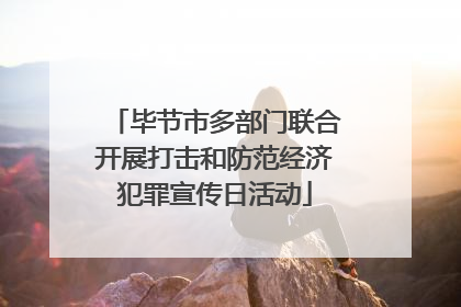 毕节市多部门联合开展打击和防范经济犯罪宣传日活动