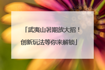武夷山暑期放大招！创新玩法等你来解锁