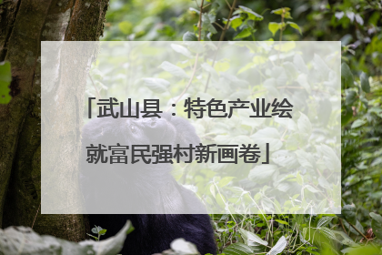 武山县：特色产业绘就富民强村新画卷
