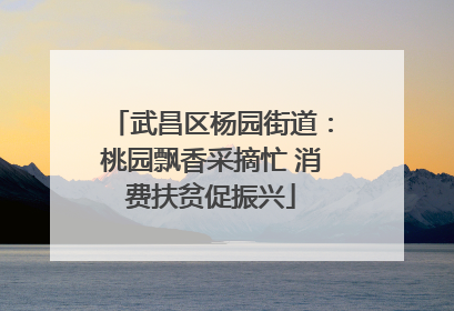武昌区杨园街道：桃园飘香采摘忙 消费扶贫促振兴
