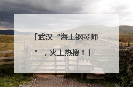 武汉“海上钢琴师”，火上热搜！