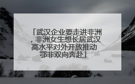 武汉企业要走进非洲，非洲女生想长居武汉 高水平对外开放推动鄂非双向奔赴