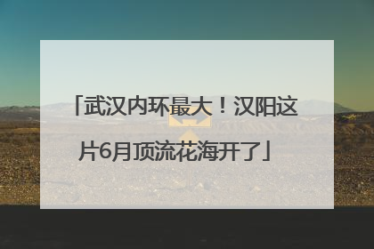 武汉内环最大！汉阳这片6月顶流花海开了