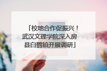 校地合作促振兴！武汉文理学院深入房县白鹤镇开展调研