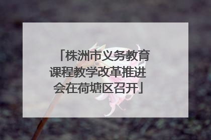 株洲市义务教育课程教学改革推进会在荷塘区召开
