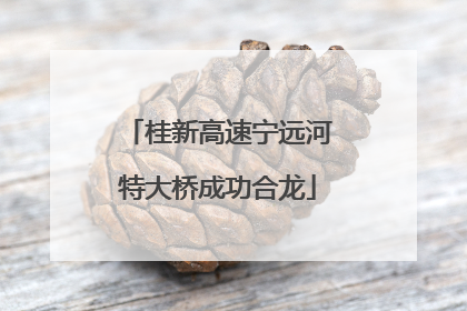 桂新高速宁远河特大桥成功合龙
