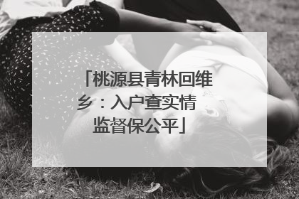 桃源县青林回维乡：入户查实情 监督保公平