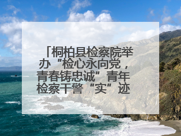 桐柏县检察院举办“检心永向党，青春铸忠诚”青年检察干警“实”迹展示活动