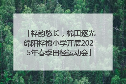 梓韵悠长，棉田逐光 绵阳梓棉小学开展2025年春季田径运动会