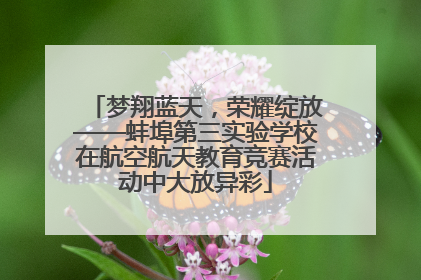 梦翔蓝天，荣耀绽放——蚌埠第三实验学校在航空航天教育竞赛活动中大放异彩