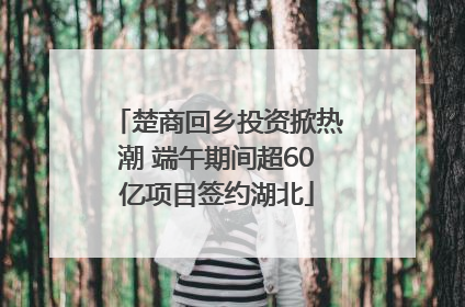 楚商回乡投资掀热潮 端午期间超60亿项目签约湖北