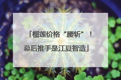 榴莲价格“腰斩”！幕后推手是江夏智造